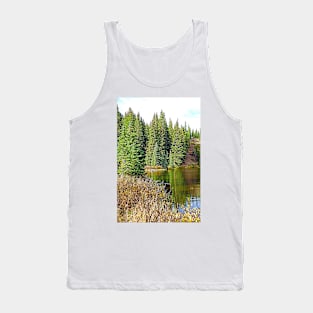 Lake Irene in Autumn Study 13-3 Tank Top